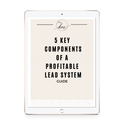 5 Keys to a Profitable Lead System ipad2